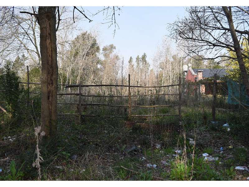 Lote 2000 m2