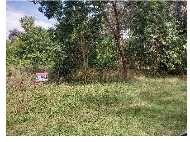 Lote de terreno 3750 m2