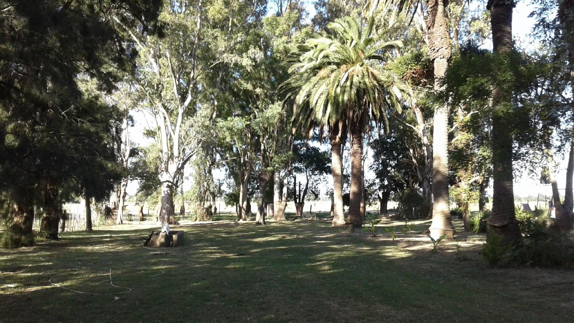 Campo 50 has en La Plata